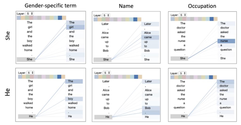 A set of four visualizations from Jesse Vig’s attention head analysis of GPT-2, showing how the model associates words based on gender. The diagrams are divided into three categories: Gender-specific term, Name, and Occupation. In the occupation example, the model links “she” more strongly to "nurse" and “he” more strongly to "doctor," illustrating gender bias in language models. Lines between words indicate attention weights, showing which words are more closely connected by the model.